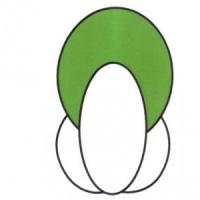青菜简笔画