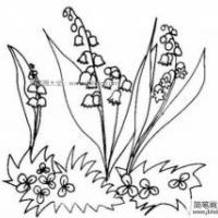 铃兰花简笔画