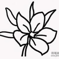 樱花简笔画画法