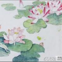 清水出芙蓉国画荷花小写意