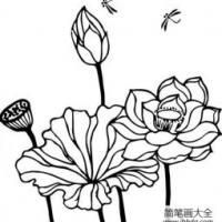 夏花简笔画