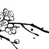 梅花树的树枝简笔画图片