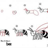 如何画蜜蜂 蜜蜂简笔画教程