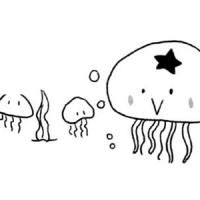 海洋生物 水母
