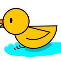 水中的小黄鸭简笔画