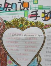 小学生卫生知识手抄报