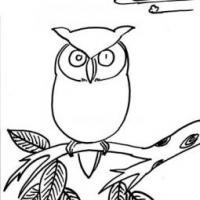 猫头鹰的简笔画画法