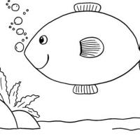 鱼缸里的小鱼简笔画