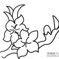 简笔画画花图片 画花的简笔画