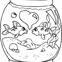 鱼缸里的鱼简笔画图片