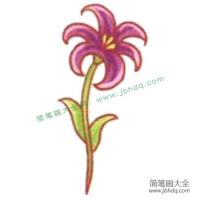 Q版波斯菊简笔画教程