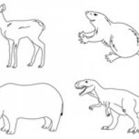 一组(恐龙,土拨鼠,小鹿,犀牛等)动物简笔画素材，喜欢就收藏起来