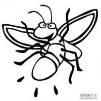 昆虫图片 萤火虫简笔画图片
