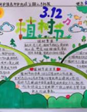 呵护绿色守护地球,312植树节手抄报图片大全