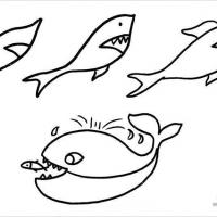 鲨鱼简笔画图片