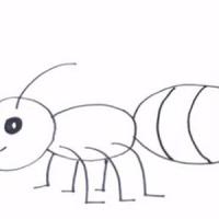 小蚂蚁简笔画