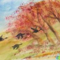 南飞的大雁画秋天的画作品欣赏