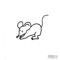 可爱小老鼠简笔画大全