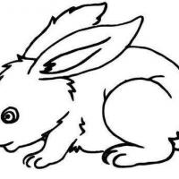 可爱兔子简笔画图片