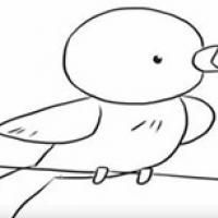 黄鹂鸟怎么画简笔画 - 简单六步画出黄鹂鸟简笔画步骤教程