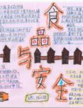 民以食为天,食品安全要谨慎的手抄报