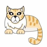 缅甸猫简笔画步骤图解教程,小猫简笔画