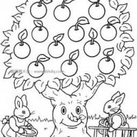 苹果树和兔子