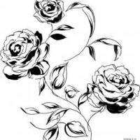 精美的玫瑰花简笔画图片