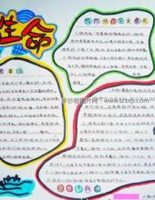 呵护生命，预防溺水的手抄报