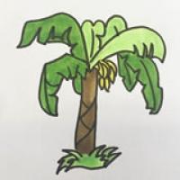 香蕉树简笔画简单画法步骤图片