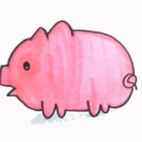 粉红小猪简笔画步骤图