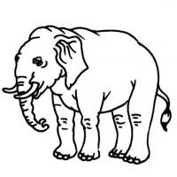 好看的大象简笔画 画法