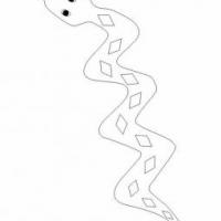 精选关于蛇的简笔画