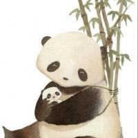 大熊猫和宝宝