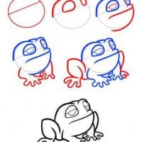 动物简笔画教程 青蛙简笔画步骤图