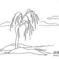 大树的简笔画方法介绍