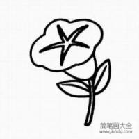 牵牛花简笔画素描 牵牛花简笔画图片