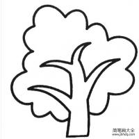 秋树简笔画图片