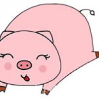 可爱的小猪简笔画步骤画法图片教程
