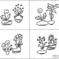 关于植物盆景的简笔画图片
