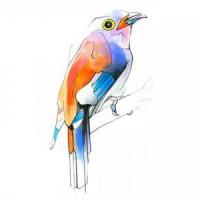 10张画小鸟的彩色插画欣赏