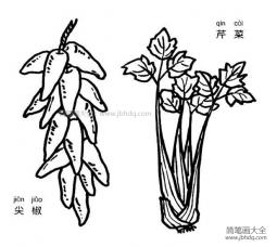 芹菜和尖椒简笔画图片