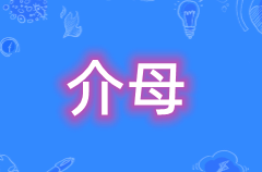 什么是介母