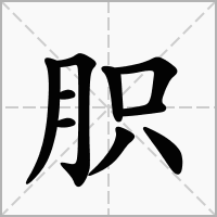 汉字胑的拼音怎么读解释及意思