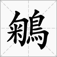 汉字鵴的拼音怎么读解释及意思