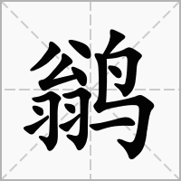 汉字鹟的拼音怎么读解释及意思