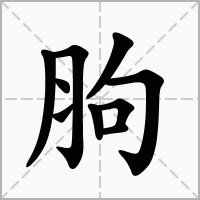 胊的拼音意思组词笔划部首成语有那些