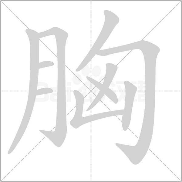汉字胸的拼音怎么读解释及意思
