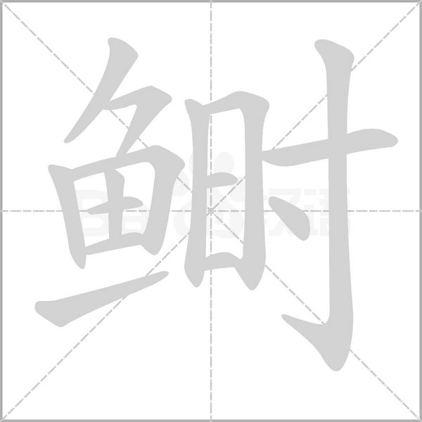 鲥的拼音意思组词笔划部首成语有那些