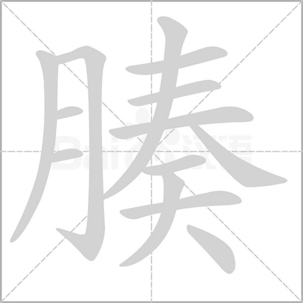 汉字腠的拼音怎么读解释及意思